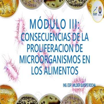 Principales Causas De Deterioro De Los Alimentos | PPT
