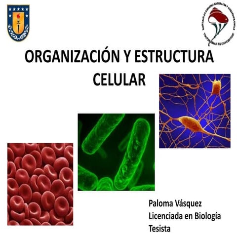 Tipos de celulas eucariota y procariota | PPTX