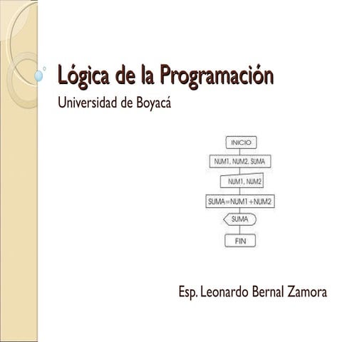 Lógica de programación - Análisis y Datos