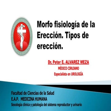 CLASE 1 Morfo fisiología de la Erección. Tipos de erección