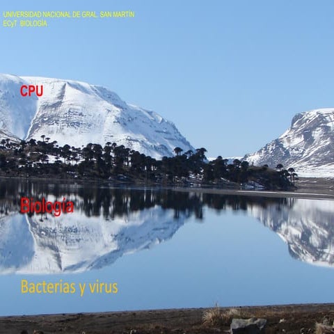 Clase 10 Bacterias y Virus.pdf