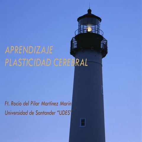 Clase 11 Aprendizaje y Plasticidad Cerebral