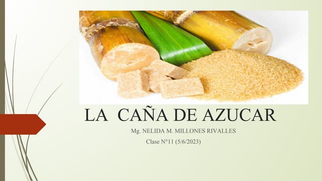 CLASE 11_La caña de azúcar y su industrialización.pdf