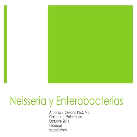 Curso de Microbiología - 14 - Neisseria y Enterobacterias