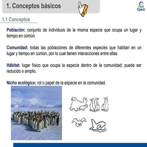 Clase 14 Población y comunidad (1).pptx