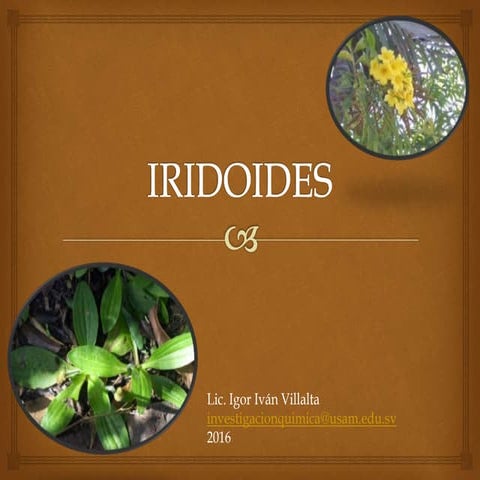Clase 19 iridoides