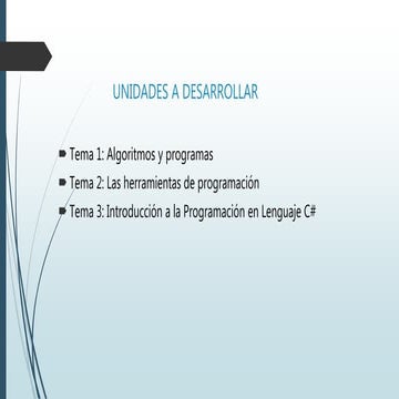 Introduccion a la programacion 2010 | PPT