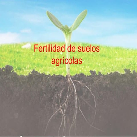 Clase 1 Fertilidad y nutricion vegetal.pdf