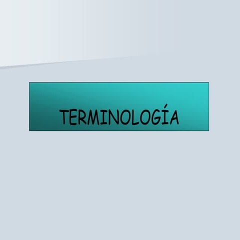 CLASE 1 TERMINOLOGIA.ppt