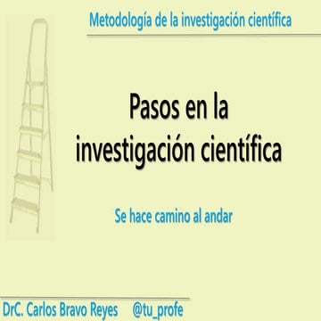 Pasos en la organización de la investigación 