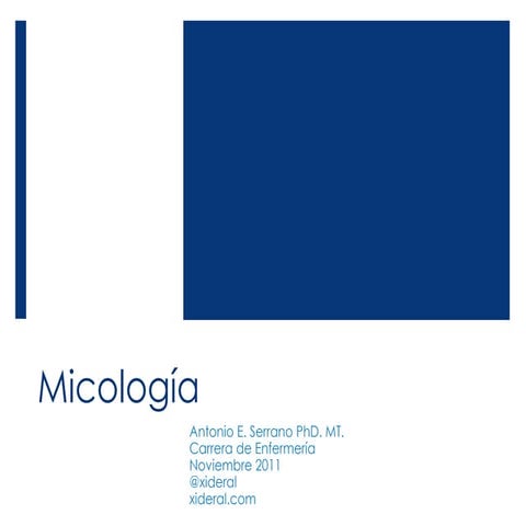 Curso de Microbiología - 23 - Micología