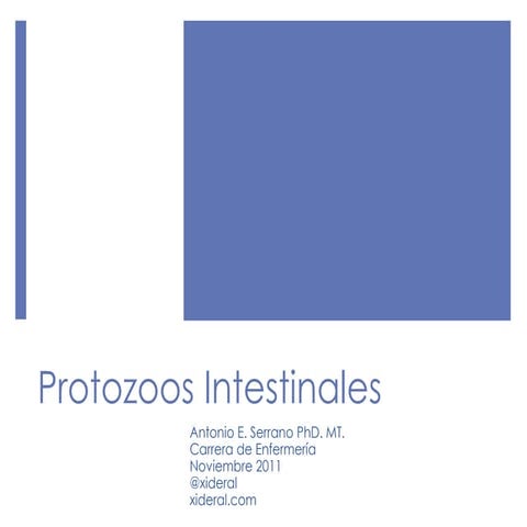 Curso de Microbiología - 26 - Protozoos intestinales