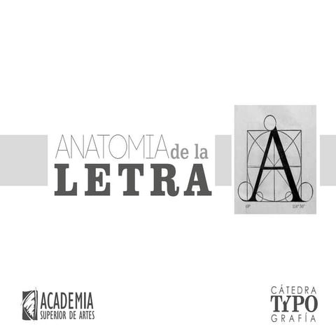Anatomía de la Letra