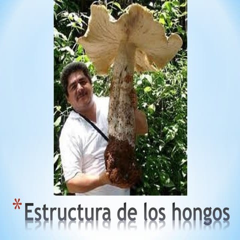 Atlas-Hongos-Del-Laboratorio.pdf