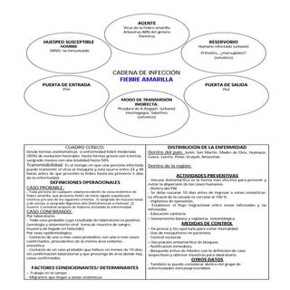 Cadenas Epidemiológicas de Principa...