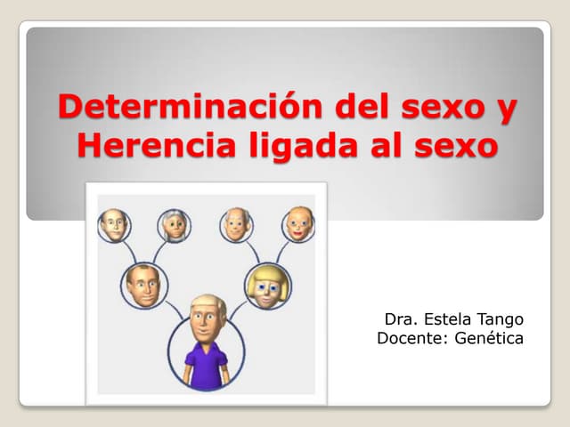 Clase 4 determinacion del sexo y he...
