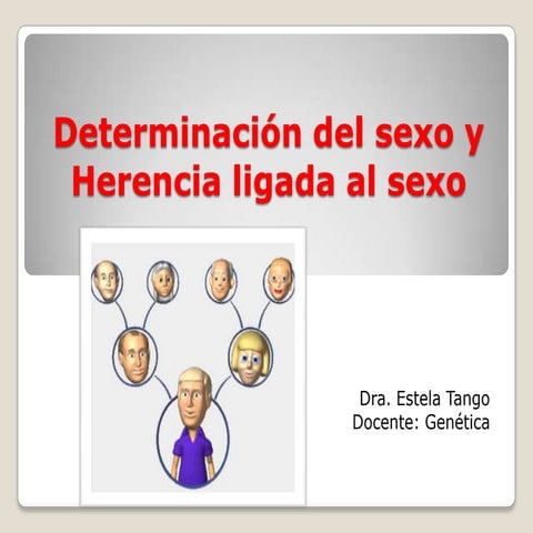 Clase 4 determinacion del sexo y herencia ligada al sexo