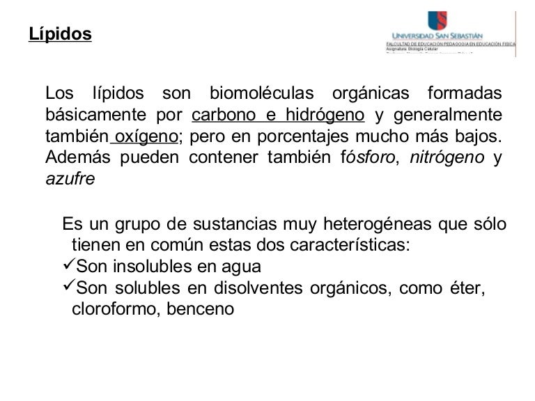 Lipidos