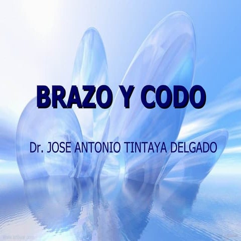 Clase N°4 Anatomia Humana - Tema: Brazo y Codo