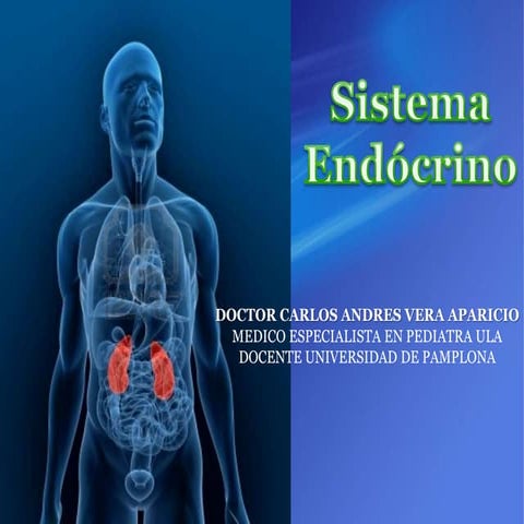  Sistema Endocrino. Clase 5 morfologia