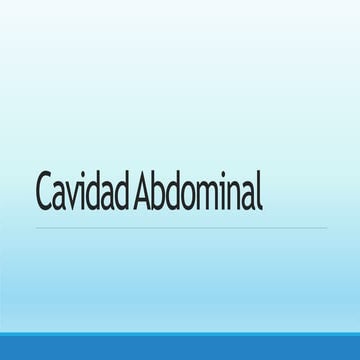 Clase 6 salud - Anatomia Abdomen II.pptx
