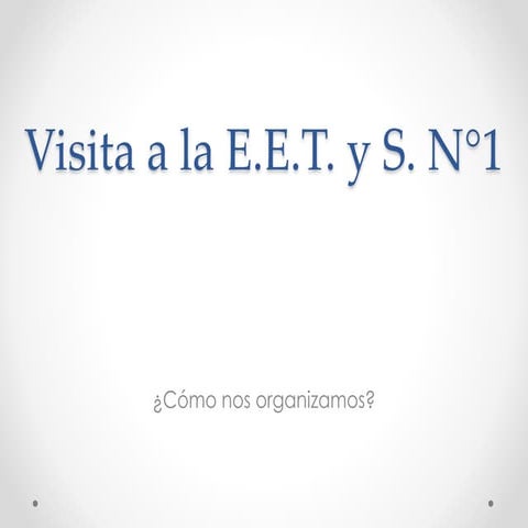 Organización, visita, observación y entrevista a la E.E.T.yS.N°1