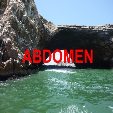 Clase 6 abdomen parietal 1