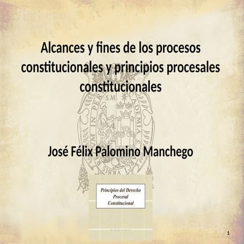 Clase 7. Alcances y fines de los procesos constitucionales y principios proce...