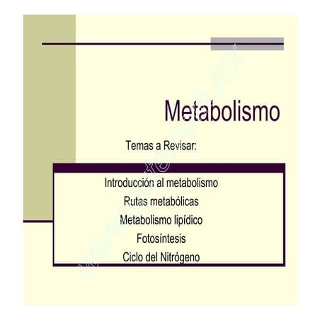 Clase 7 Metabolismo, TermodináMica Y CinéTica EnzimáTica