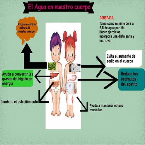 Clase 8: Infografía