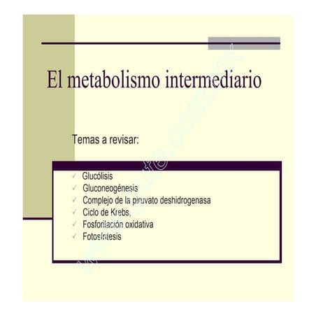 Clase 8 Metabolismo Intermediario