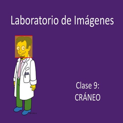 Clase 9   cráneo