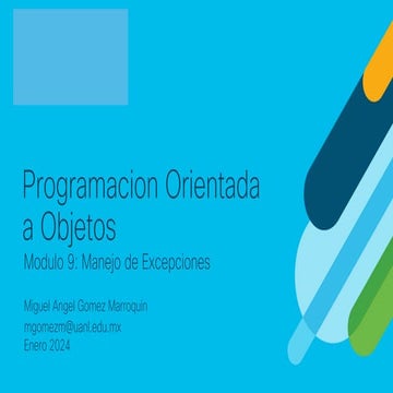 Manejo de Excepciones en Programación Orientada a Objetos con Python | PDF