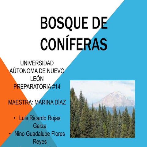 Clase bosque de coníferas biolgia