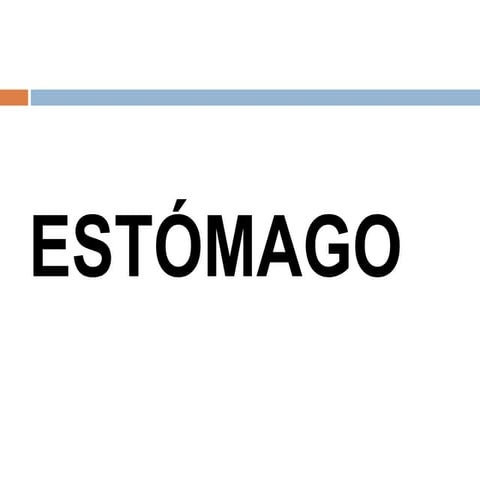 Clase de estomago  