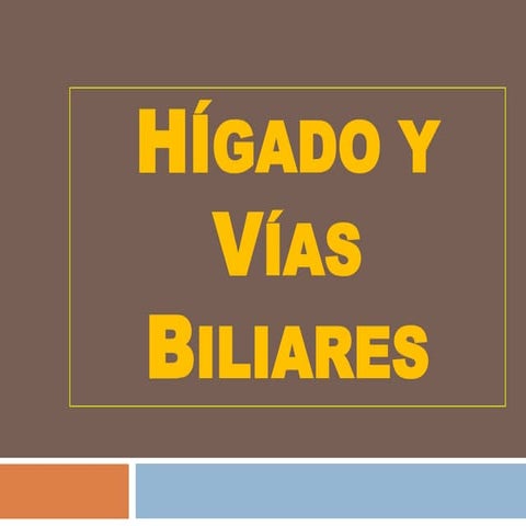 Clase de hígado y vías biliares 