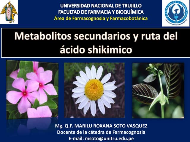 Clase de metabolitos secundarios y ...