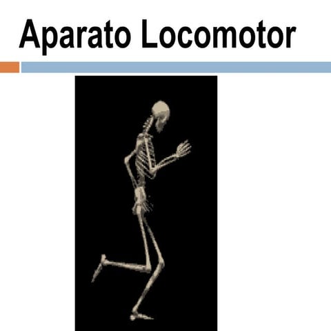 Clase de osteología de miembro superior e inferior  