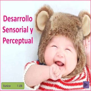Desarrollo Sensorial del Niño