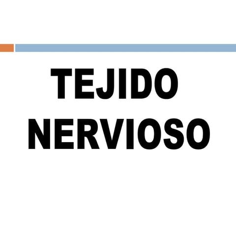 Clase de tejido  nervioso  