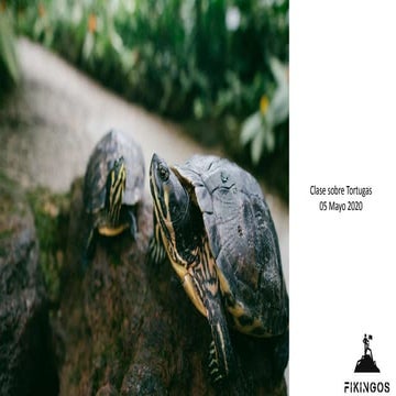 Clase Fikingos microbios_05 Mayo 2020