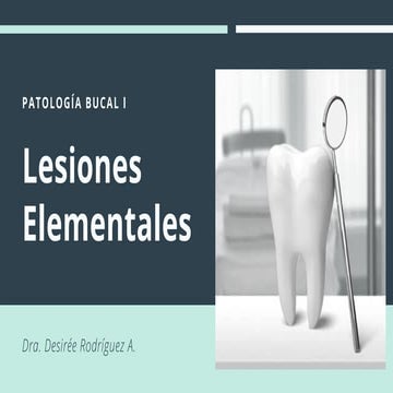 Lesiones Elementales Oral