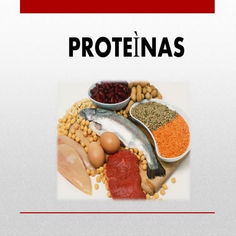 Clase iii proteinas