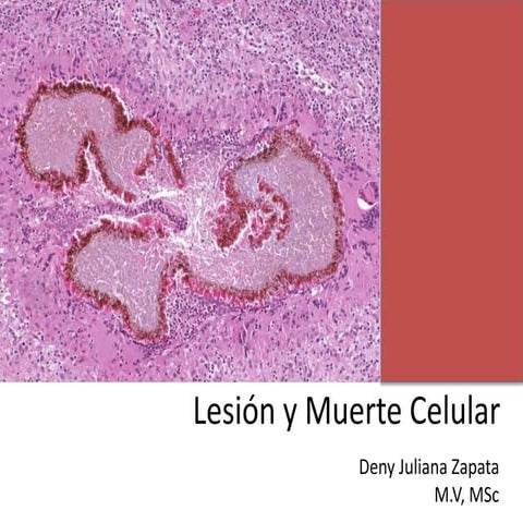 Lesión y Muerte Celular
