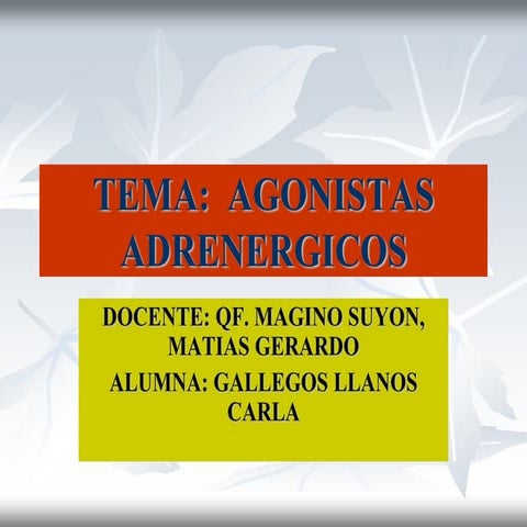 Clase nº 6  agonistas adrenérgicos