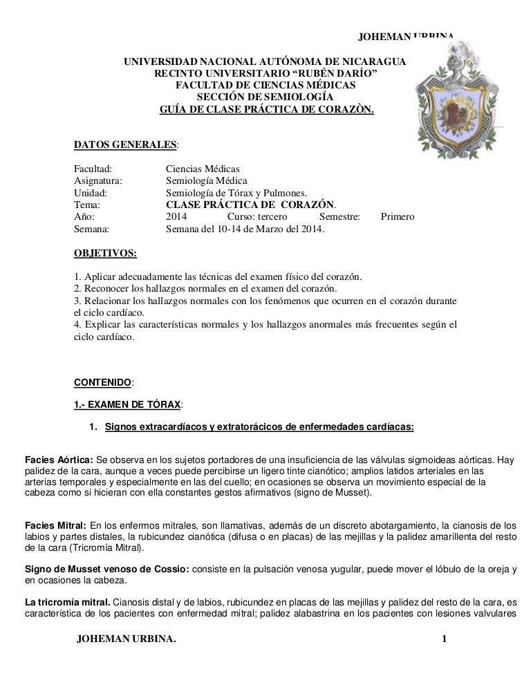 Latido constante en la parte posterior de la cabeza Latido constante en la parte posterior de la cabeza