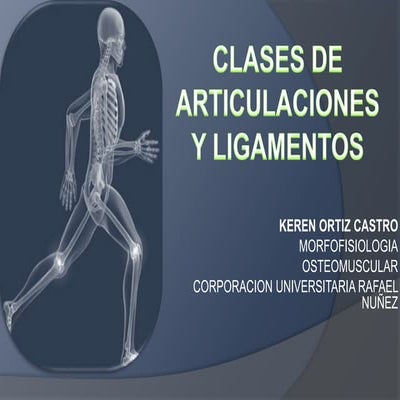 Clases de articulaciones y ligamentos