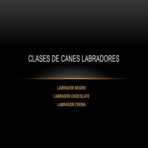 Clases de canes labradores 2