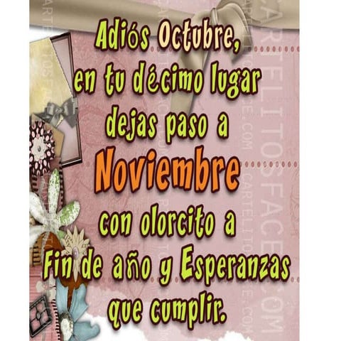 Clases de geografía semana  1 4