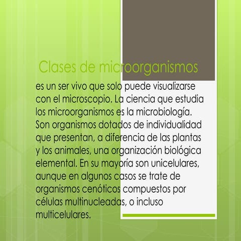 Clases de microorganismos